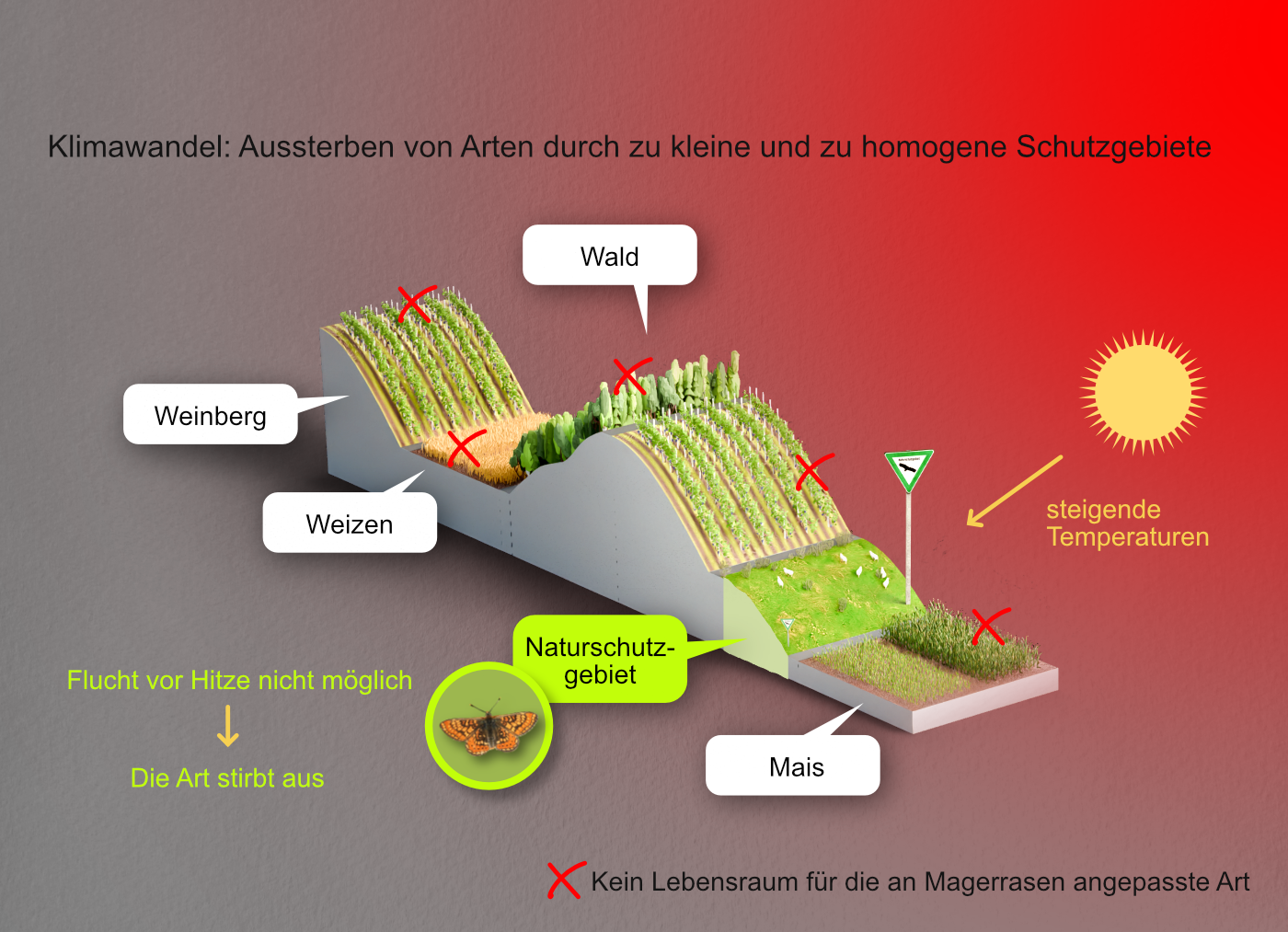 Illustration Schutzgebiet innerhalb der Agrarlandschaft